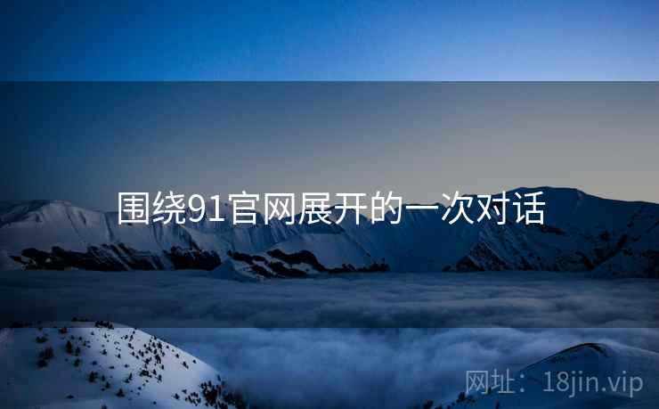 围绕91官网展开的一次对话