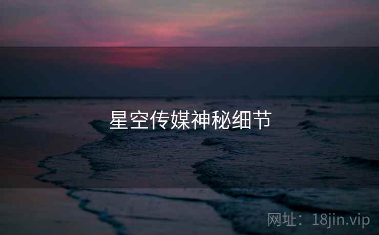 星空传媒神秘细节  第1张