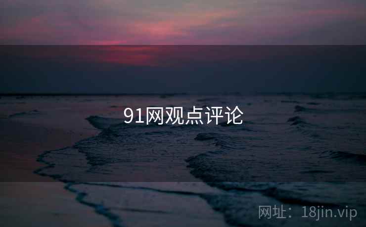 91网观点评论
